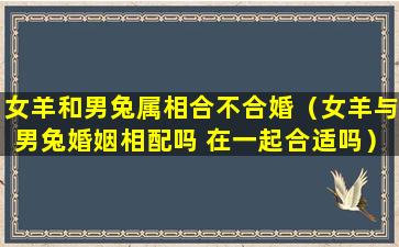 女羊和男兔属相合不合婚（女羊与男兔婚姻相配吗 在一起合适吗）